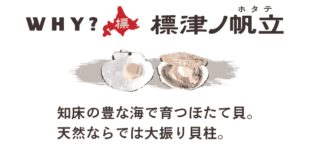WHY?標津ノ帆立 知床の豊な海で育つほたて貝。天然ならでは大振り貝柱。